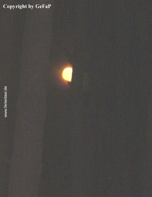 NW06DSC03436